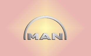 ✓ MAN 51.03901-0298 Прокладка ГБЦ 